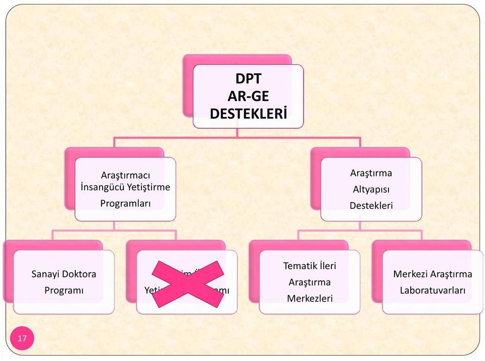 Doktora Programı Öğretim Üyesi Yetiştirme Programı