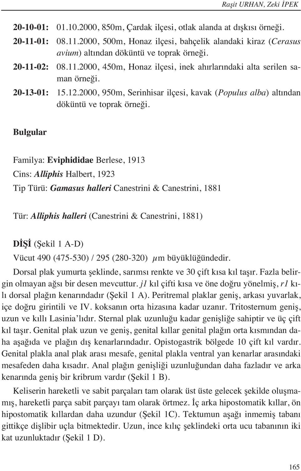 20-13-01: 15.12.2000, 950m, Serinhisar ilçesi, kavak (Populus alba) alt ndan döküntü ve toprak örneği.