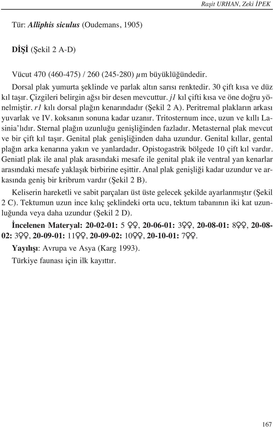 Peritremal plaklar n arkas yuvarlak ve IV. koksan n sonuna kadar uzan r. Tritosternum ince, uzun ve k ll Lasinia l d r. Sternal plağ n uzunluğu genişliğinden fazlad r.