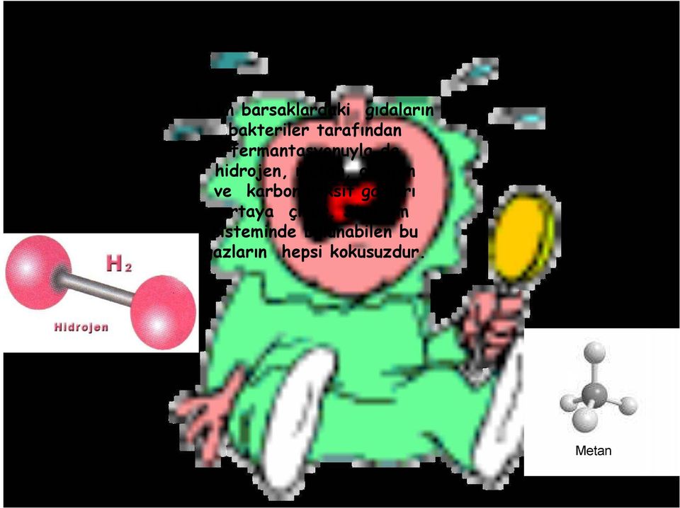 oksijen ve karbondioksit gazları ortaya çıkar.