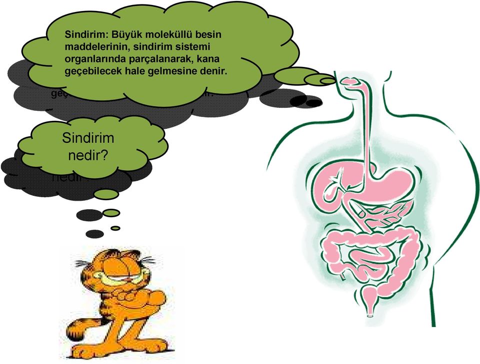 geçebilecek sindirim hale gelmesine sistemi denir.