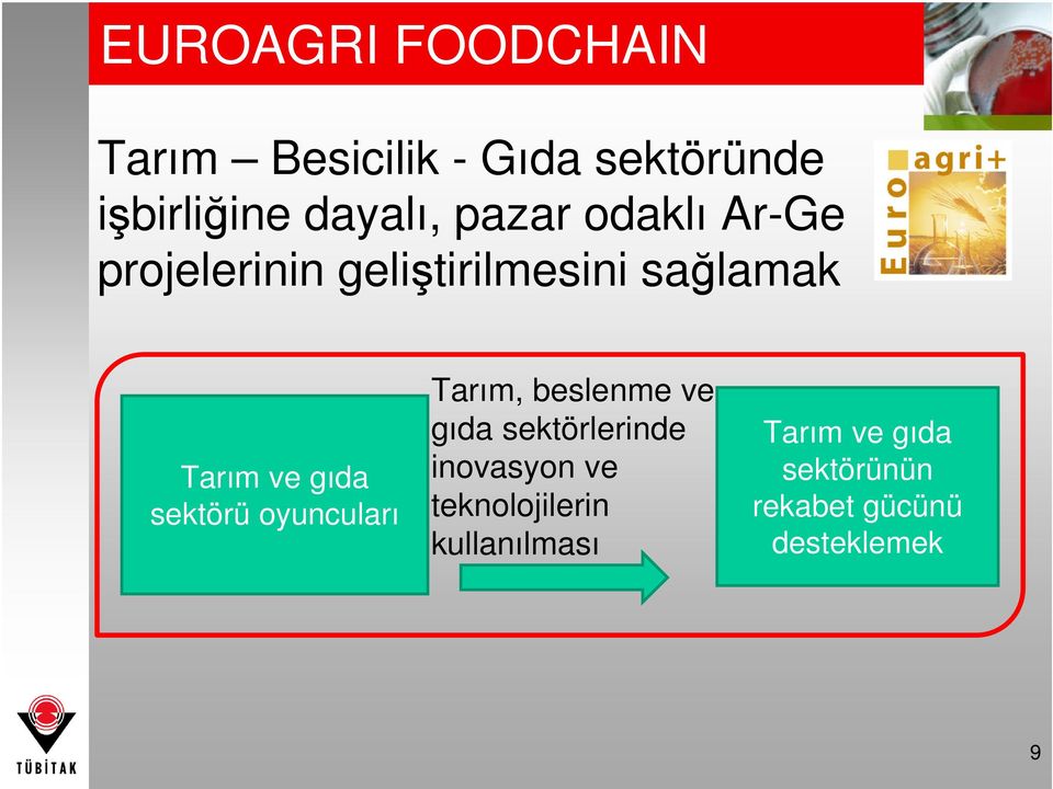 sektörü oyuncuları Tarım, beslenme ve gıda sektörlerinde inovasyon ve