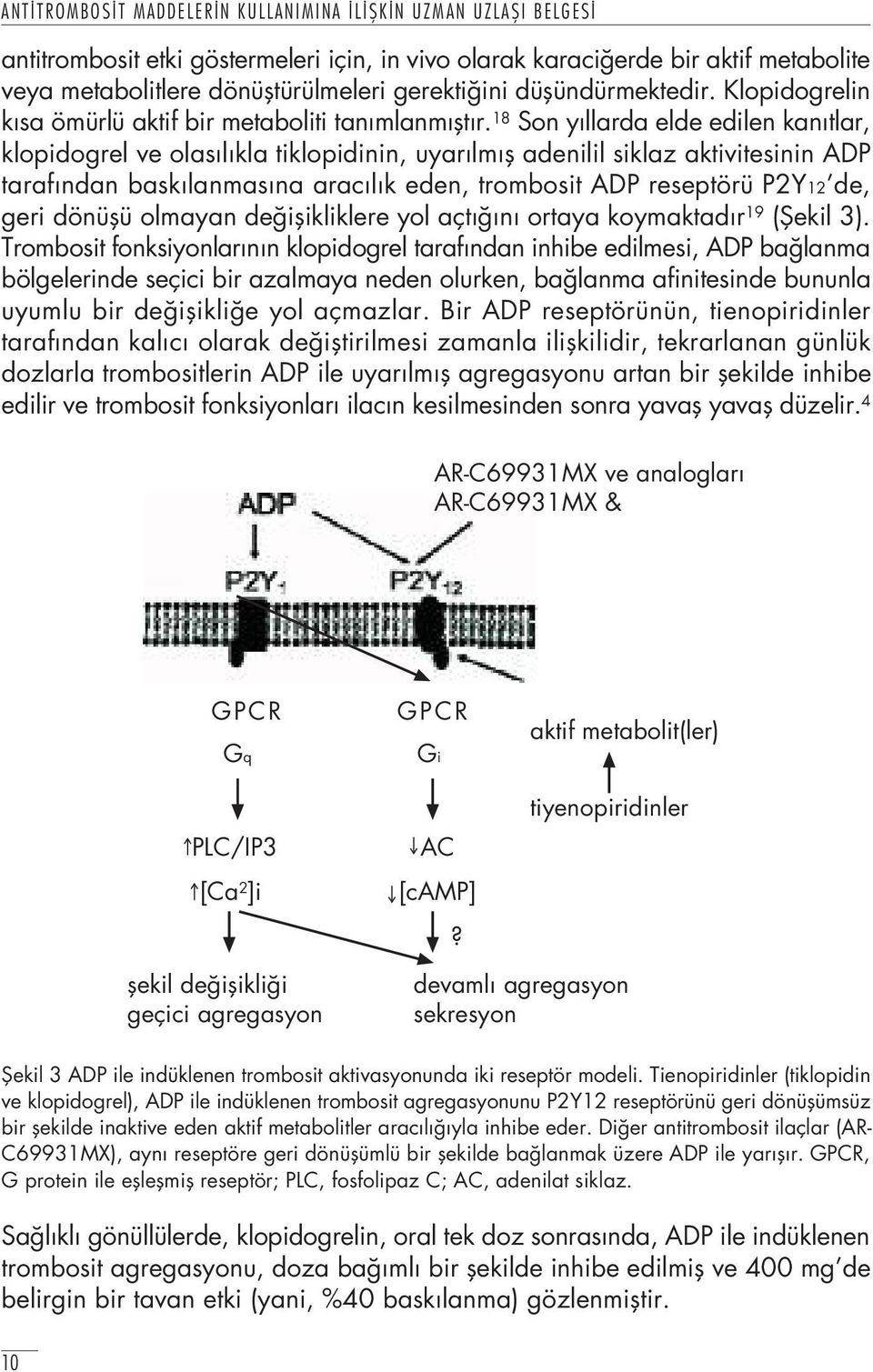 18 Son y llarda elde edilen kan tlar, klopidogrel ve olas l kla tiklopidinin, uyar lm fl adenilil siklaz aktivitesinin ADP taraf ndan bask lanmas na arac l k eden, trombosit ADP reseptörü P2Y12 de,