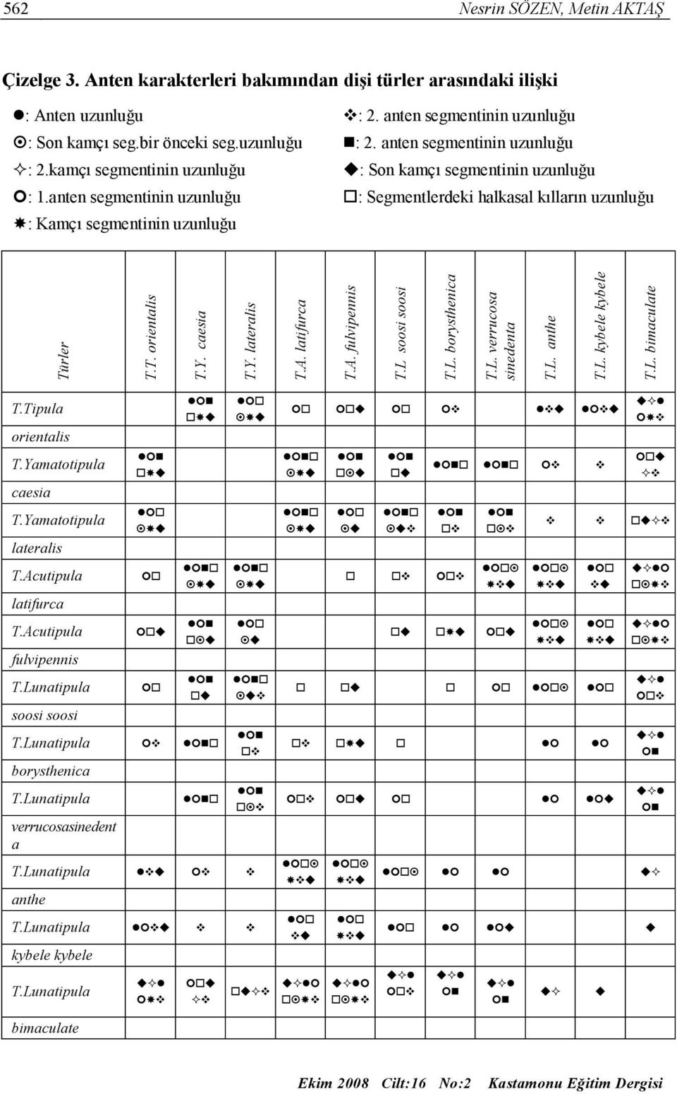 latifurca T.A. fulvipennis T.L ssi ssi T.L. brysthenica T.L. verrucsa sinedenta T.L. anthe T.L. kybele kybele T.L. bimaculate T.Tipula rientalis T.Yamattipula caesia T.Yamattipula lateralis u T.