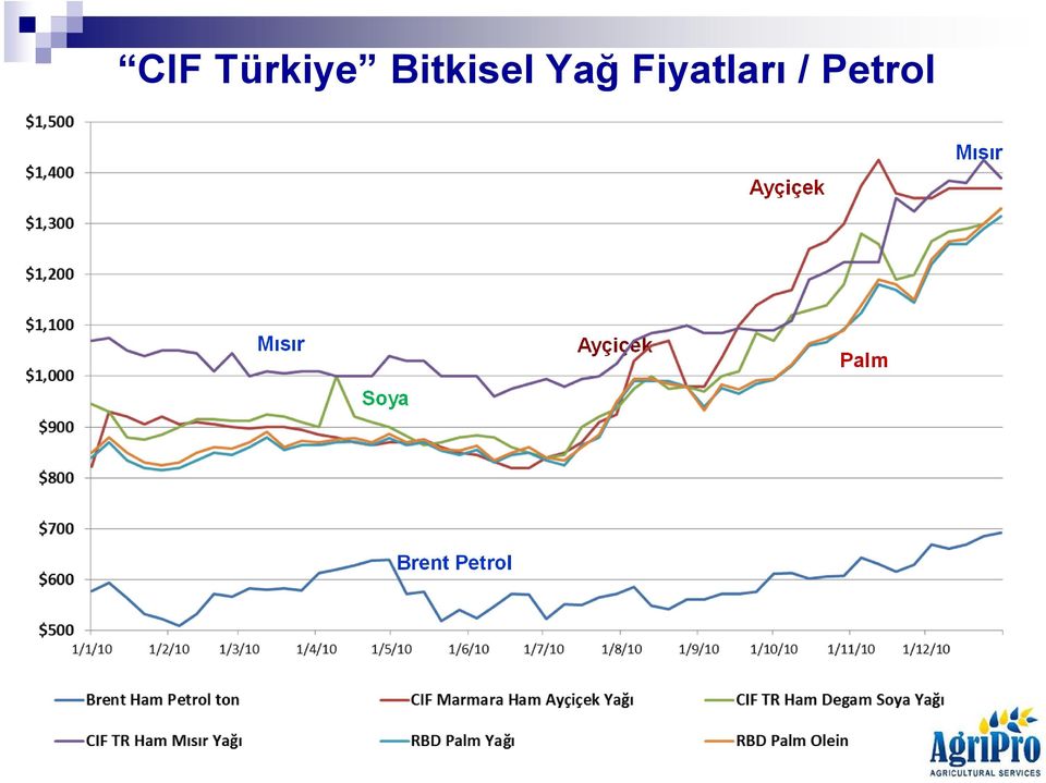 Ayçiçek Mısır Mısır