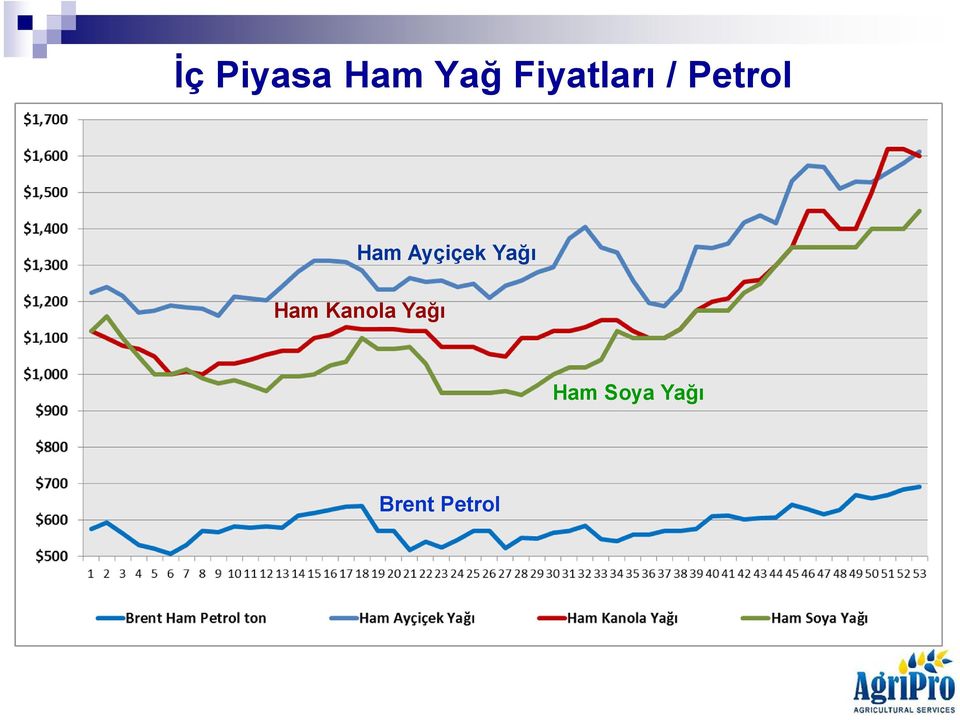 Ayçiçek Yağı Ham Kanola