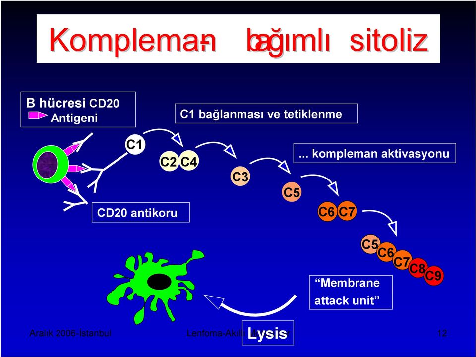 .. kompleman aktivasyonu C5 C6 C7 C5 C6 C7C8C9 Membrane