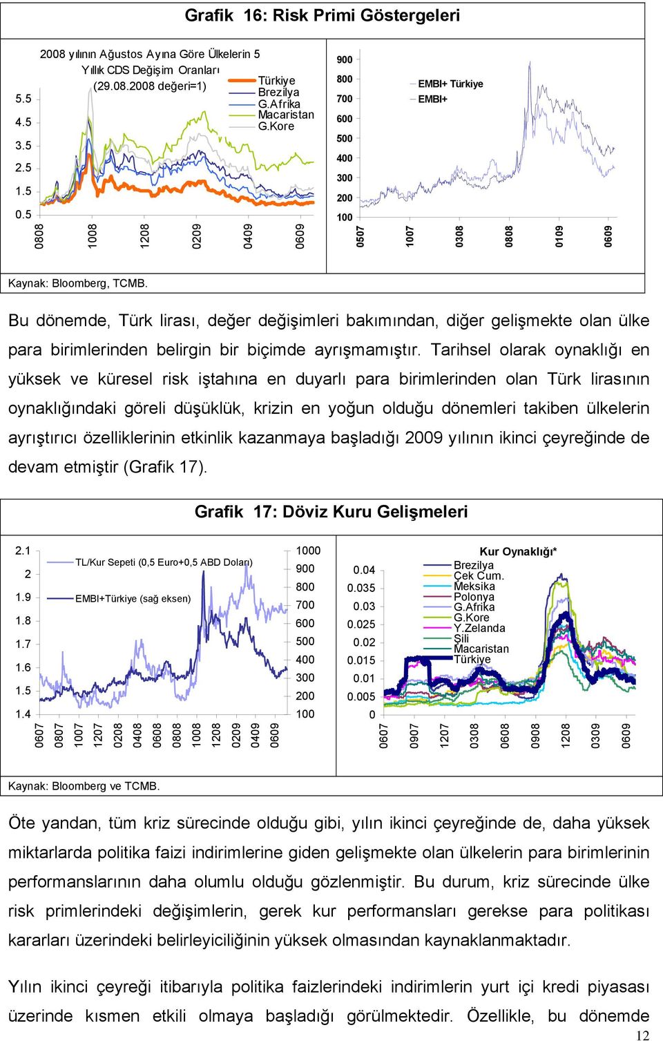 Tarihsel olarak oynaklığı en yüksek ve küresel risk iştahına en duyarlı para birimlerinden olan Türk lirasının oynaklığındaki göreli düşüklük, krizin en yoğun olduğu dönemleri takiben ülkelerin
