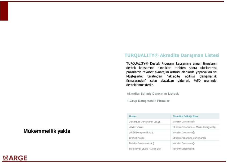 yapacakları ve Müsteşarlık tarafından "akredite edilmiş danışmanlık firmalarından" satın alacakları giderleri, %50