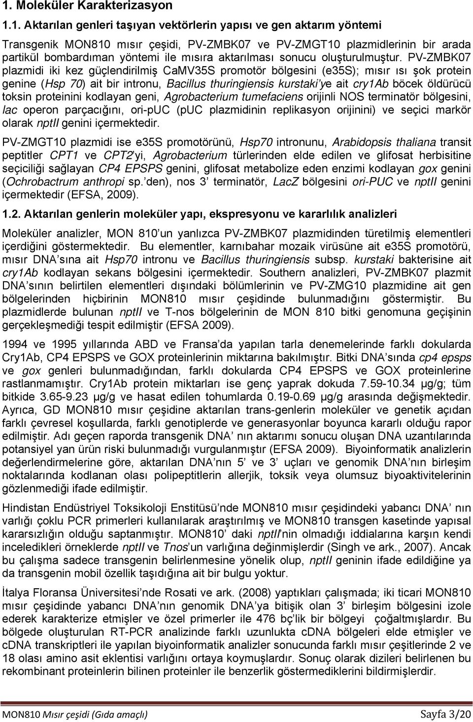 PV-ZMBK07 plazmidi iki kez güçlendirilmiş CaMV35S promotör bölgesini (e35s); mısır ısı şok protein genine (Hsp 70) ait bir intronu, Bacillus thuringiensis kurstaki ye ait cry1ab böcek öldürücü toksin