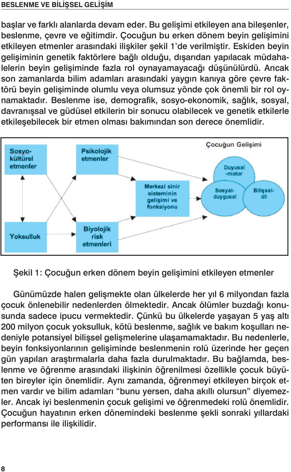 Eskiden beyin gelişiminin genetik faktörlere bağlı olduğu, dışarıdan yapılacak müdahalelerin beyin gelişiminde fazla rol oynayamayacağı düşünülürdü.