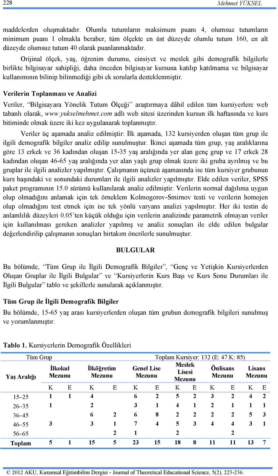 Orijinal ölçek, yaş, öğrenim durumu, cinsiyet ve meslek gibi demografik bilgilerle birlikte bilgisayar sahipliği, daha önceden bilgisayar kursuna katılıp katılmama ve bilgisayar kullanımının bilinip