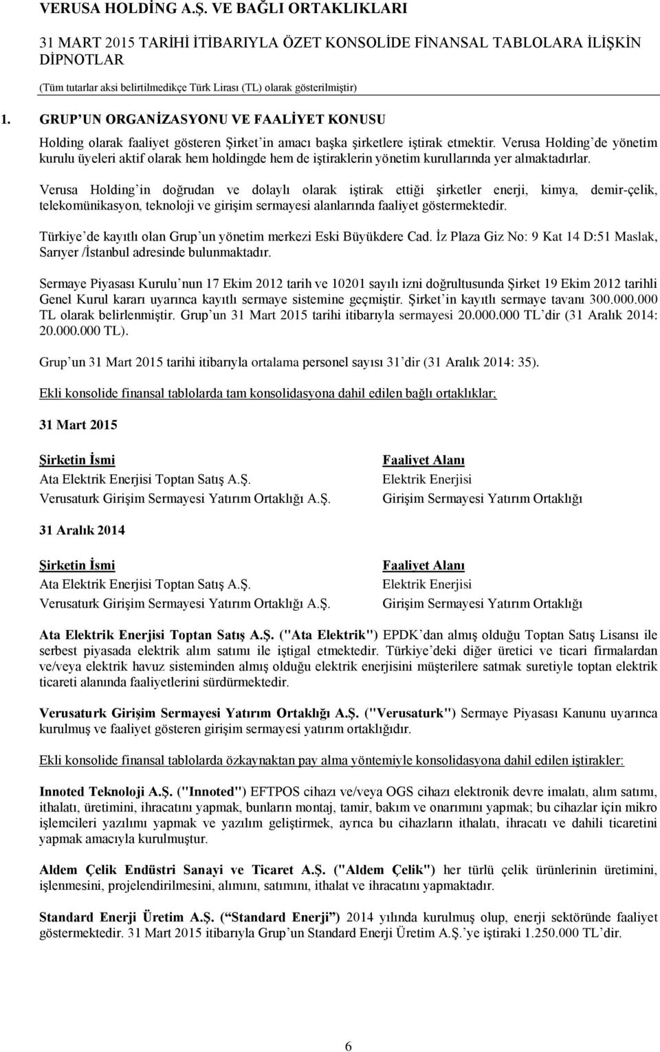 Verusa Holding in doğrudan ve dolaylı olarak iştirak ettiği şirketler enerji, kimya, demir-çelik, telekomünikasyon, teknoloji ve girişim sermayesi alanlarında faaliyet göstermektedir.