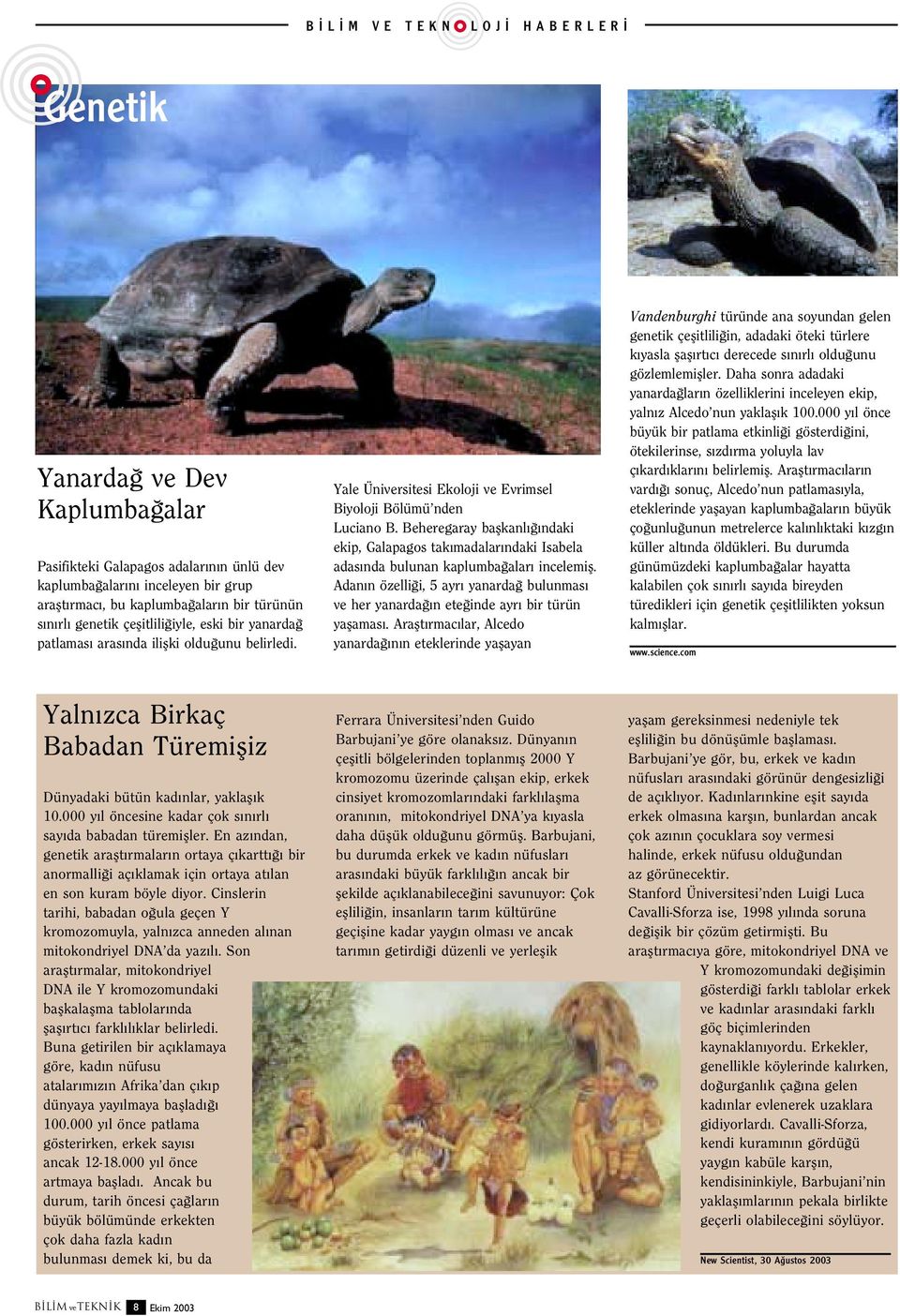 Beheregaray baflkanl ndaki ekip, Galapagos tak madalar ndaki Isabela adas nda bulunan kaplumba alar incelemifl.