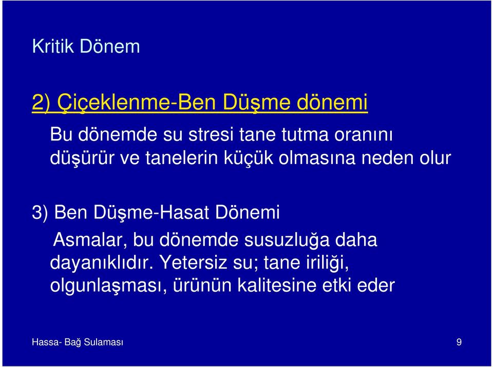 Düşme-Hasat Dönemi Asmalar, bu dönemde susuzluğa daha dayanıklıdır.