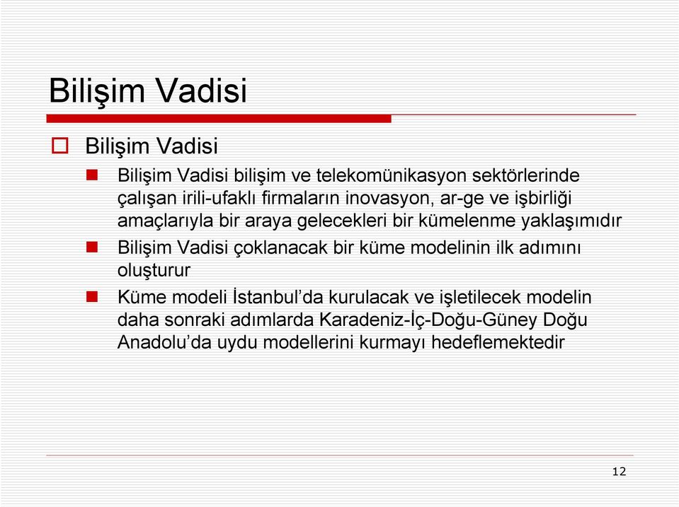 Vadisi çoklanacak bir küme modelinin ilk adımını oluşturur Küme modeli Đstanbul da kurulacak ve işletilecek