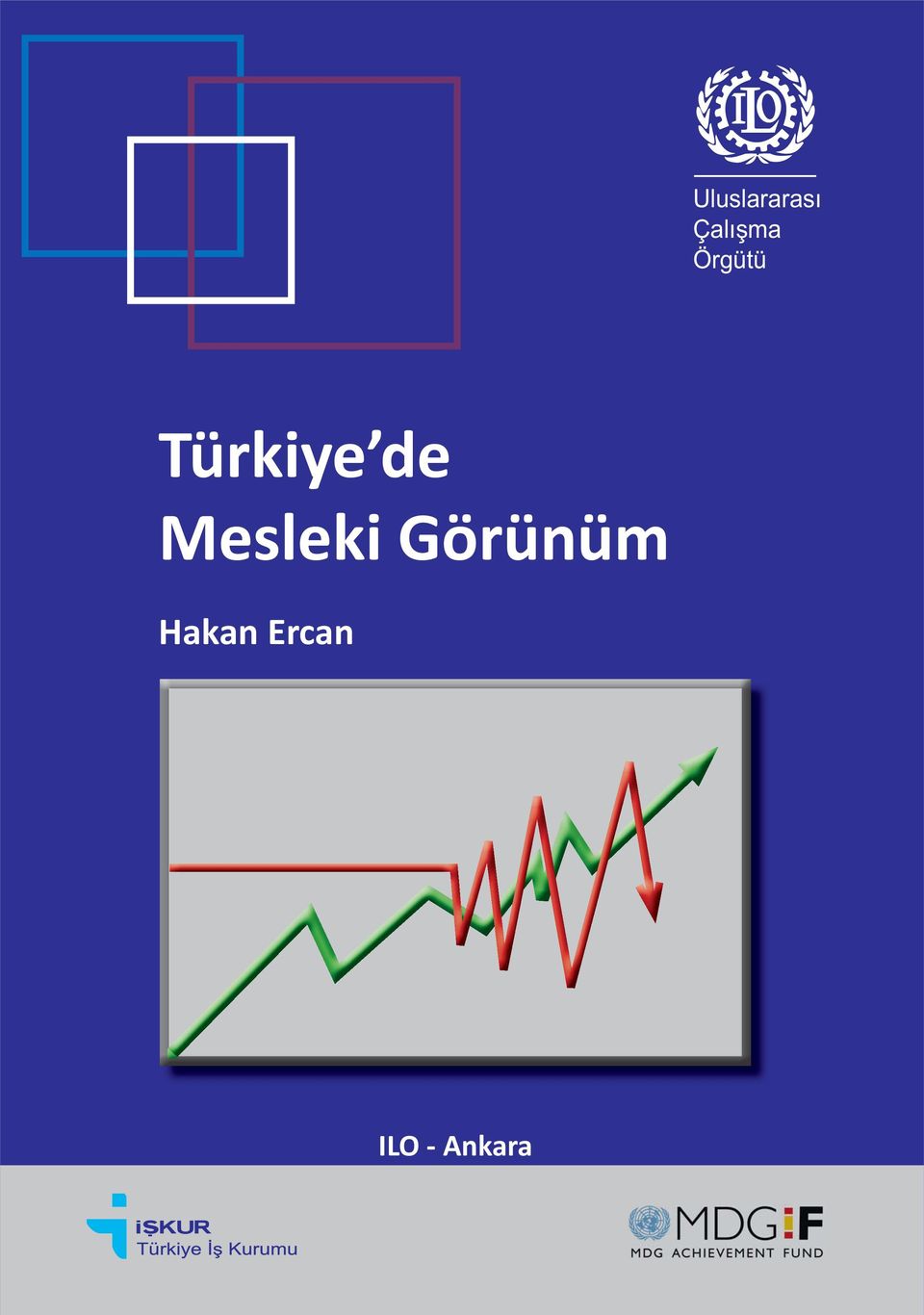 Türkiye de Mesleki