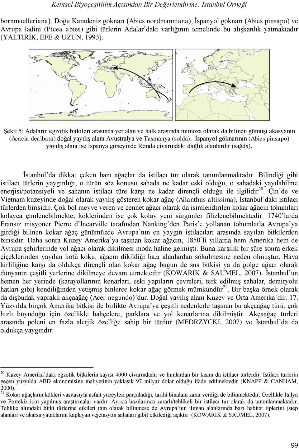 ġekil 5: Adaların egzotik bitkileri arasında yer alan ve halk arasında mimoza olarak da bilinen gümüģi akasyanın (Acacia dealbata) doğal yayılıģ alanı Avustralya ve Tasmanya (solda); Ġspanyol