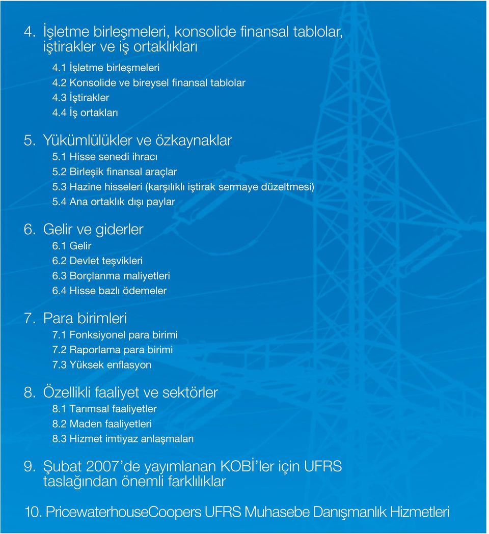 1 Gelir 6.2 Devlet teşvikleri 6.3 Borçlanma maliyetleri 6.4 Hisse bazlı ödemeler 7. Para birimleri 7.1 Fonksiyonel para birimi 7.2 Raporlama para birimi 7.3 Yüksek enflasyon 8.