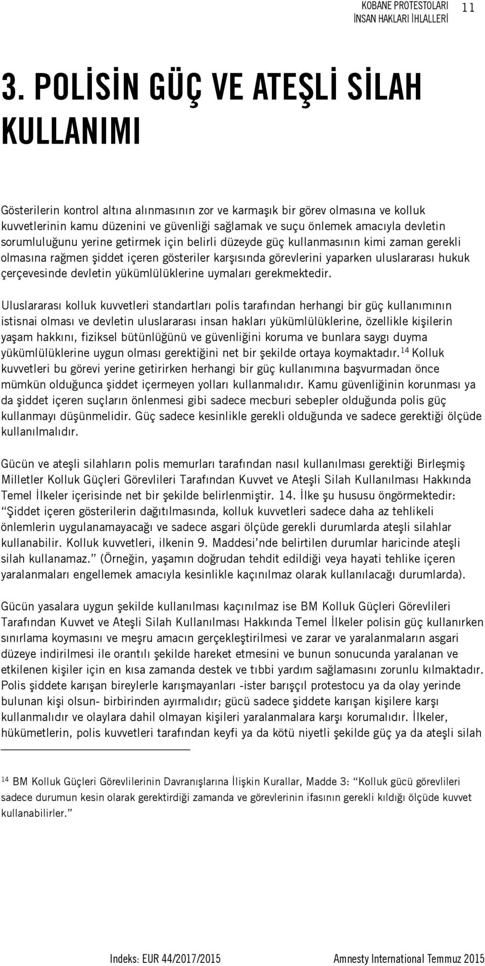 devletin sorumluluğunu yerine getirmek için belirli düzeyde güç kullanmasının kimi zaman gerekli olmasına rağmen şiddet içeren gösteriler karşısında görevlerini yaparken uluslararası hukuk