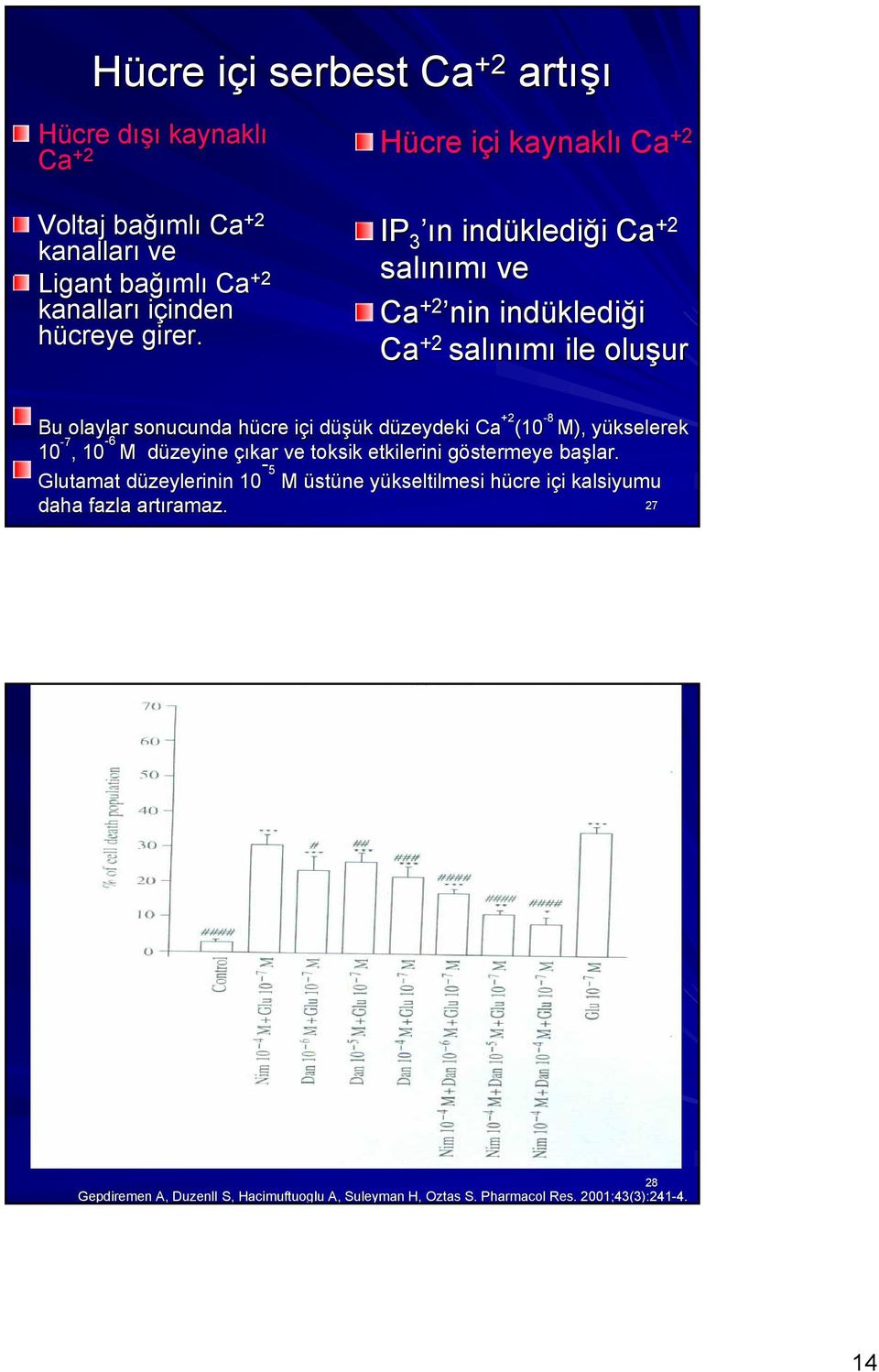 Ca +2 Ca +2 IP 3 ın indüklediği Ca +2 salınımı ve Ca +2 nin indüklediği Ca +2 salınımı ile oluşur Bu olaylar sonucunda hücre içi düşük düzeydeki Ca +2