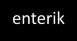 Mikrobiyoloji %69 enterik patojenler Escherichia coli Klebsiella pneumoniae Streptococcus pneumoniae Enterokoklar