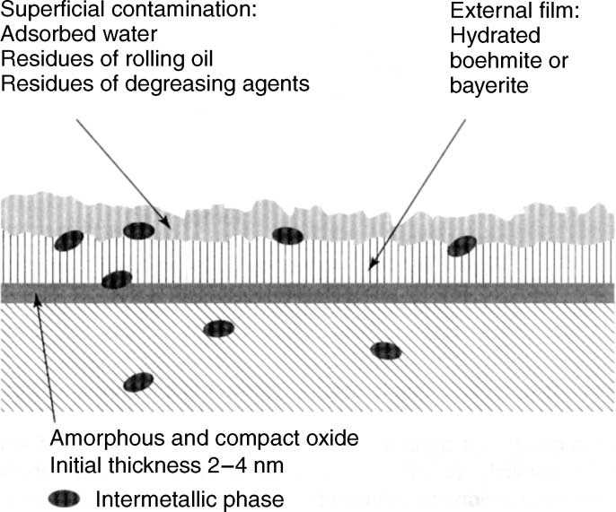 The Corrosion of Aluminium 103 Figure B.1.14. Layers and adsorption phenomena on oxide film [32]. layer, according to a mechanism which was described by Cabrera [27].