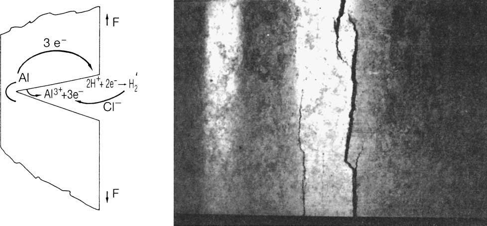 130 Corrosion of Aluminium In aqueous media, the crack constitutes a battery, in which the crack s apex is the anode. When the anode is being consumed, it leads to crack propagation.