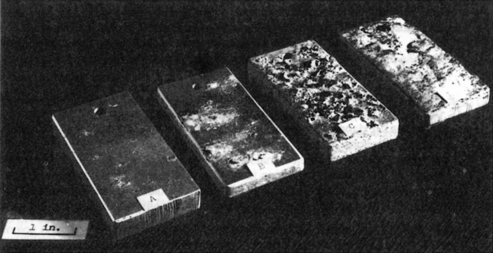 Testing Methods 171 Figure B.4.1. Standard images for the ASSET test (according to ASTM G66): degree of exfoliation corrosion. 4.3.2.