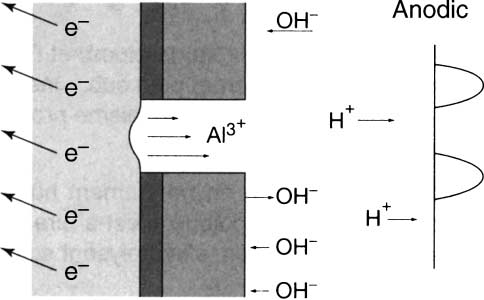 560 Corrosion of Aluminium Figure G.2.1. Surface of aluminium in a humid medium under the influence of an alternating current [6]. Figure G.2.1 represents an aluminium surface in a humid environment subjected to an alternating current.