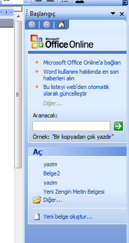 Vurgu Kalın, Renkli Yazıları gibi yazılan yazdığımızda bunların kalın ve renkli çıkmamasını sağlar.. Normalde Seçili durumdadır.