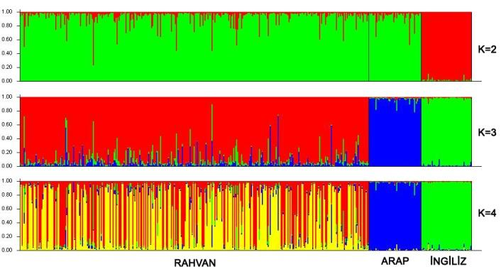 208 Banu Yüceer - Metin Erdoğan - Cevdet Yaralı - Bora Özarslan - Ceyhan Özbeyaz Şekil 5. Rahvan atlarında bölgelere göre structure analizi (K=2-7). Figure 5.