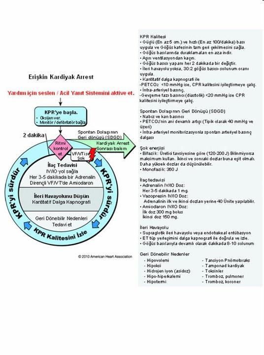 Her 2 dakikada ritm kontrolü Yüksek kaliteli CPR VF/Nabızsız