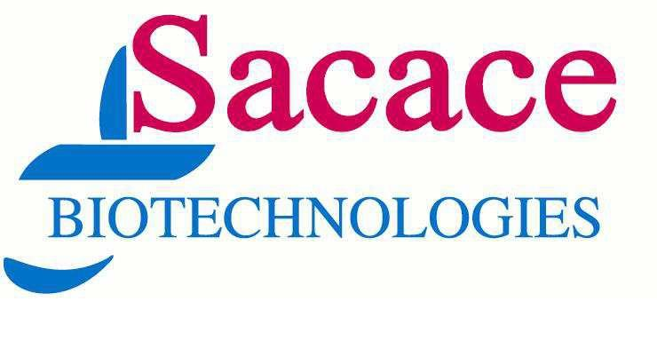 SaMag Extraction kiti Kullanım Klavuzu Sacace Biotechnologies SaMag-12 ve SaMag-24 otomatik ekstraksiyon sistemleri ile kullanım için SaMag V iral Nucleic Acid Extraction Kit (SM003) Sacace