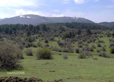 İNEGÖL DAĞI NIN FİZİKİ COĞRAFYA ÖZELLİKLERİ Foto 1. Alan ve Ballıpınar köyleri arasında 1300-1500 m lerde karşılaşılan aşınım yüzeyi. Doğuya bakış.