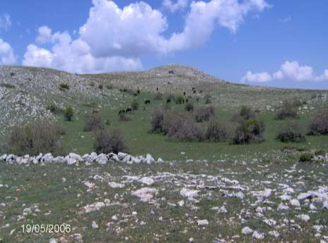 İNEGÖL DAĞI NIN FİZİKİ COĞRAFYA ÖZELLİKLERİ Foto 3. Karaali köyünün kuzeybatısında 1500 m nin üzerinde görülen dolinlerden biri. Kuzeye bakış.