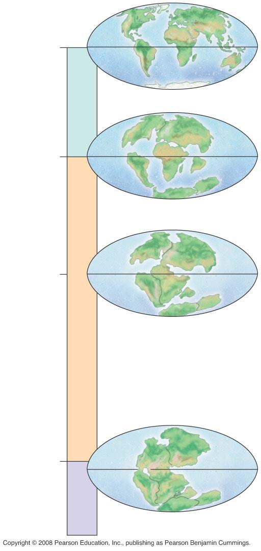 Paleozoic Millions of years ago Mesozoic Cenozoic Kıtaların Kayması Present 250 Milyon yıl önce Pangea superkıtası parçalanmaya başladı. 65.