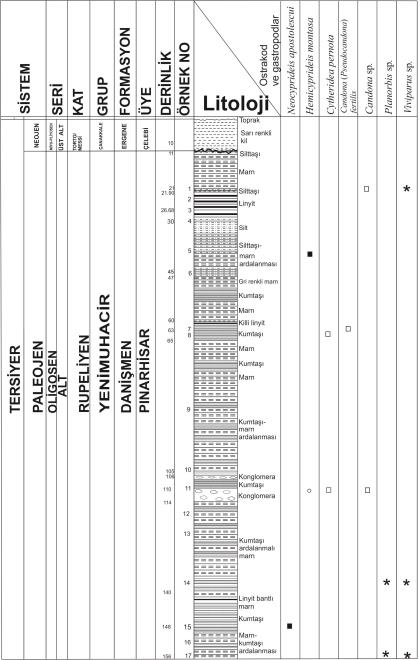 Edirne-Trakya Bölgesi Paleojen-Neojen Çökellerinin (Edirne-Keşan, Uzunköprü, Meriç, Süloğlu Sondajları) Mikropaleontolojik İncelenmesi Ayrıca sondajın 14 ve 17 nolu örneklerinde Planorbis sp.