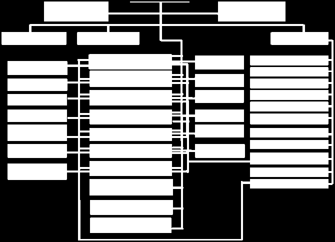 I.C.2.Örgüt Yapısı (Teşkilat Şeması) Şekil 1.