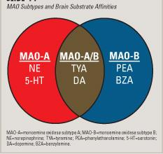 Monoamin-Oksidaz İnhibitörleri Antidepresan olarak tedaviye sunulan ilk ilaç gruplarından Monoamin Oksidaz (MAO) enzimi; Noradrenerjik, dopaminerjik ve