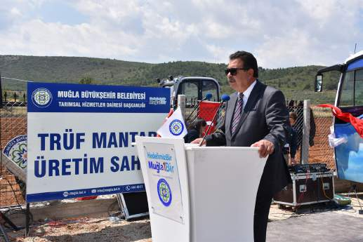 Büyükşehir Muğla da Trüf Mantarı Üretecek Muğla Büyükşehir Belediyesi, Yatağan İlçesi, Kafaca Kaplancık Mahallesi nde Trüf Mantarı Üretim sahası oluşturarak açılışını Muğla Büyükşehir Belediye