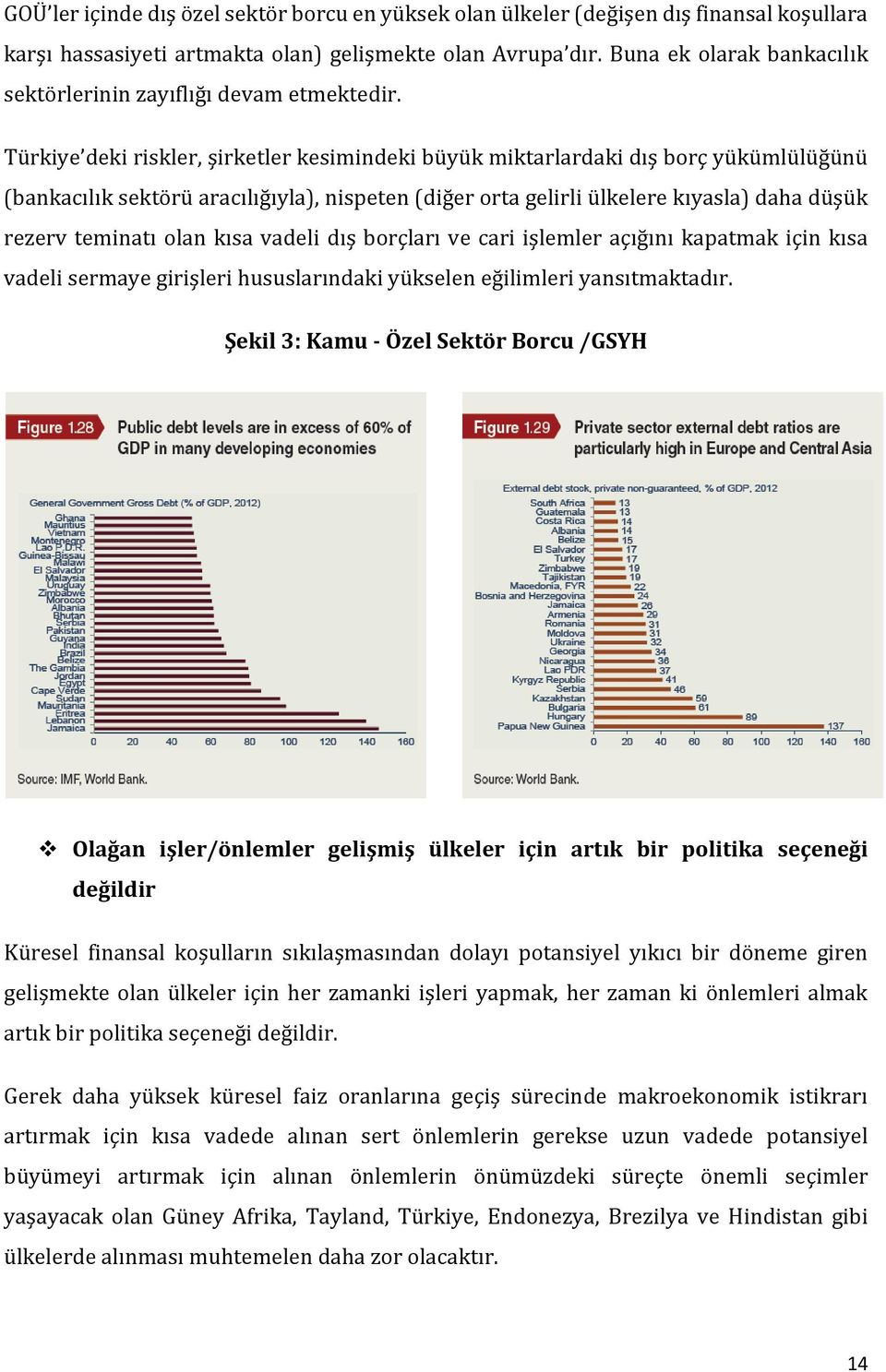 Türkiye deki riskler, şirketler kesimindeki büyük miktarlardaki dış borç yükümlülüğünü (bankacılık sektörü aracılığıyla), nispeten (diğer orta gelirli ülkelere kıyasla) daha düşük rezerv teminatı