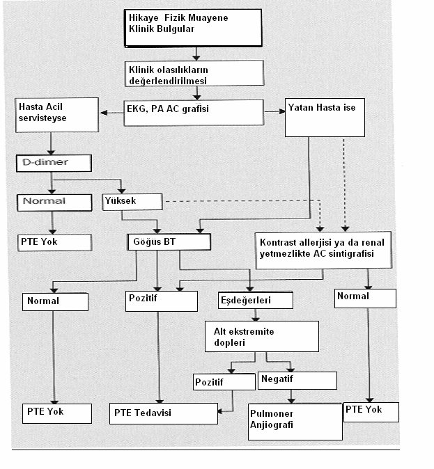 Şekil 1. Pulmoner tromboembolide tanı algoritması (62).