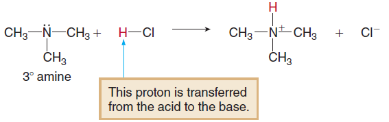 Amin [(CH 3 ) 3 N], konjuge asidini oluşturmak üzere (bir amonyum katyonu [(CH 3 ) 3 NH +]) bir proton kazanır.