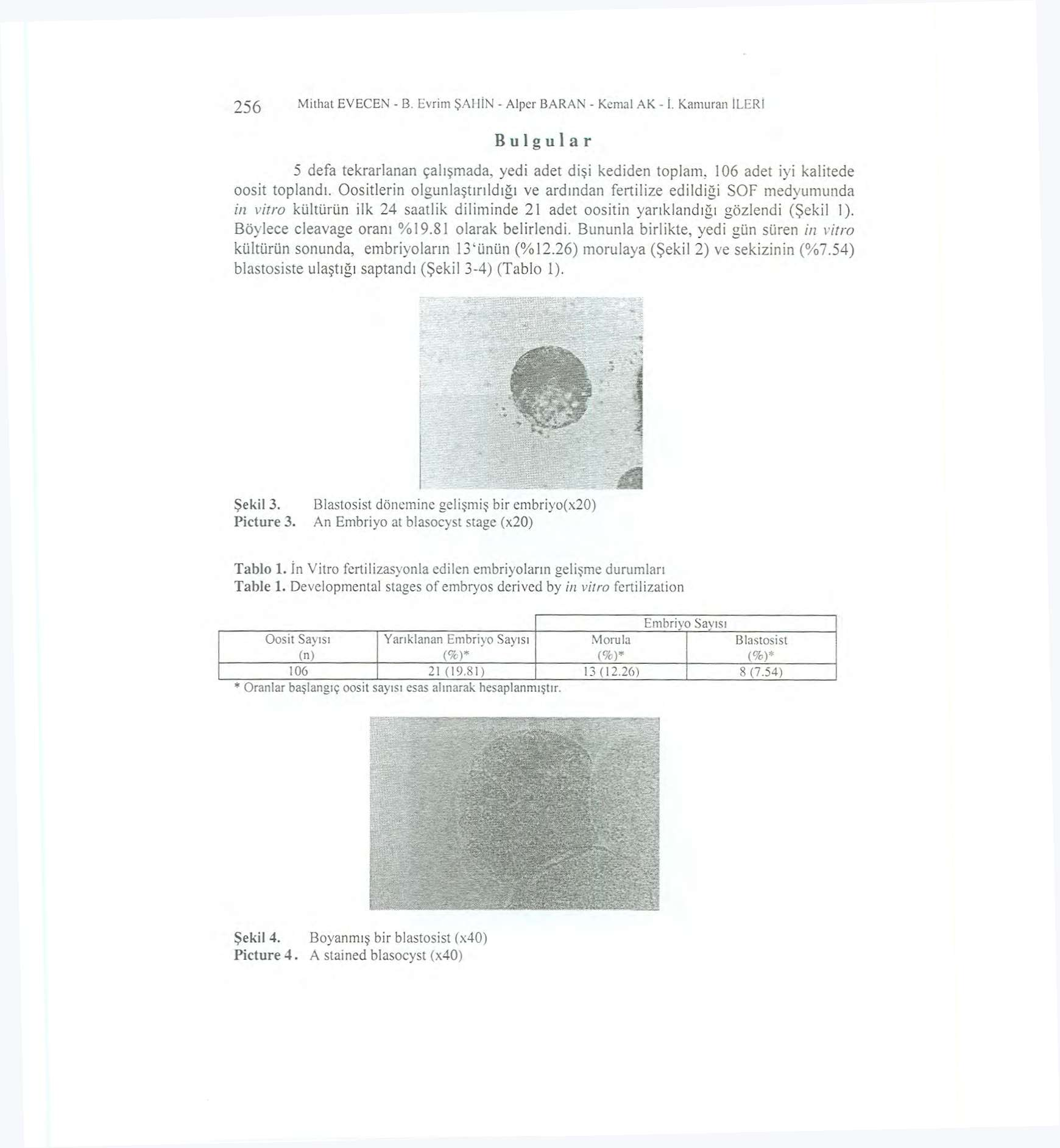 256 Mithat EVECEN - B. Evrim ŞAHİN - Alper BARAN - Kemal AK - İ. Kamuran İLERİ Bulgular 5 defa tekrarlanan çalışmada, yedi adet dişi kediden toplam. 106 adet iyi kalitede oosit toplandı.