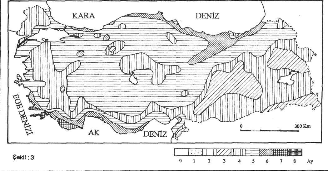 TÜRKİYE'DE ILIK