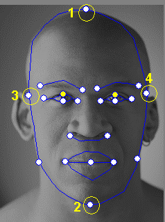 a. Kontrol noktaları 1, 2, 3 ve 4, yüz ifadesinin dönüşümünü kontrol etmek için anahtardır. 1, 2 dikey hareket kuvvetini ve 3, 4 yatay hareket kuvvetini kontrol eder. b.