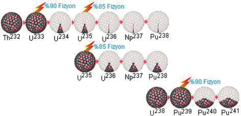 URANYUM hızlı büyüyen bir tepkime yumağı oluşmaktadır. Bölünme olayı sonrası 1 gr U 235 den 2.5 ton kömüre eşdeğer enerji üretilebilmektedir. Şekil 1.3 de uranyumun bölünme olayı gösterilmiştir.