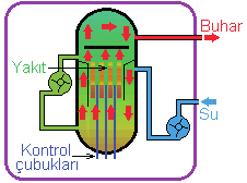 URANYUM Şekil 1.7. Basınçlı su reaktörleri Uranyum bölünmesinin gerçekleştiği reaktör kapalı bir sistemdir.