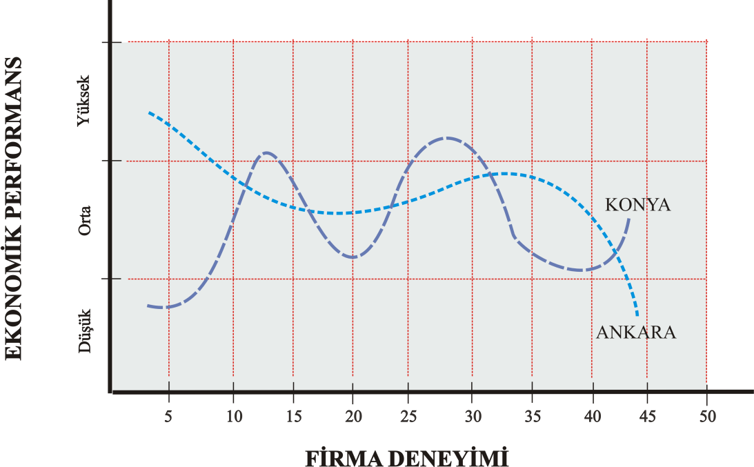 sürecinde enformel sosyal bağların önemi büyüktür.